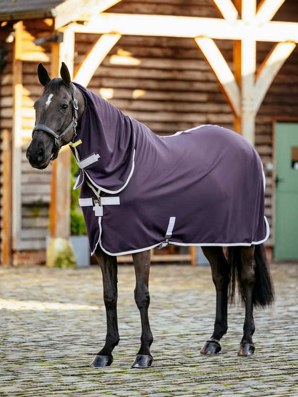 Lemieux Arika Dryease Rug
