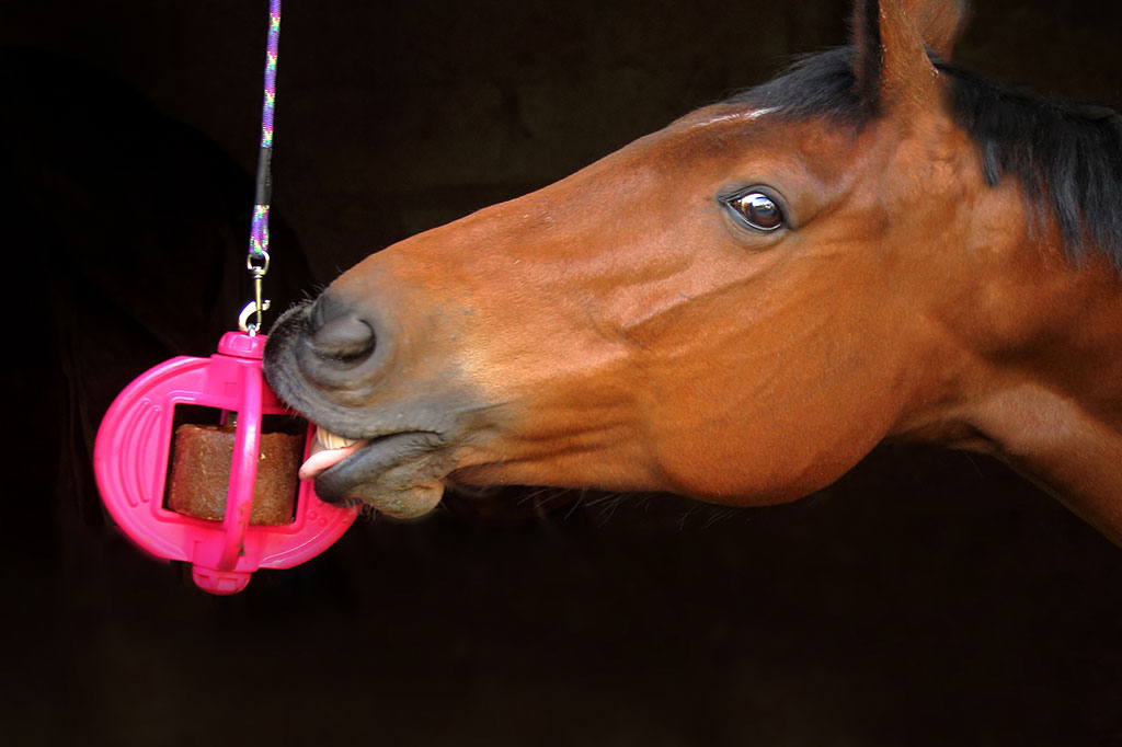 Bizzy Horse Bizzy Lick 1Kg