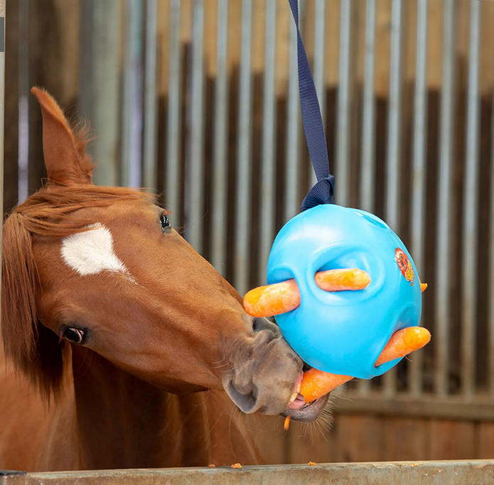 Carrotball Toy Blue