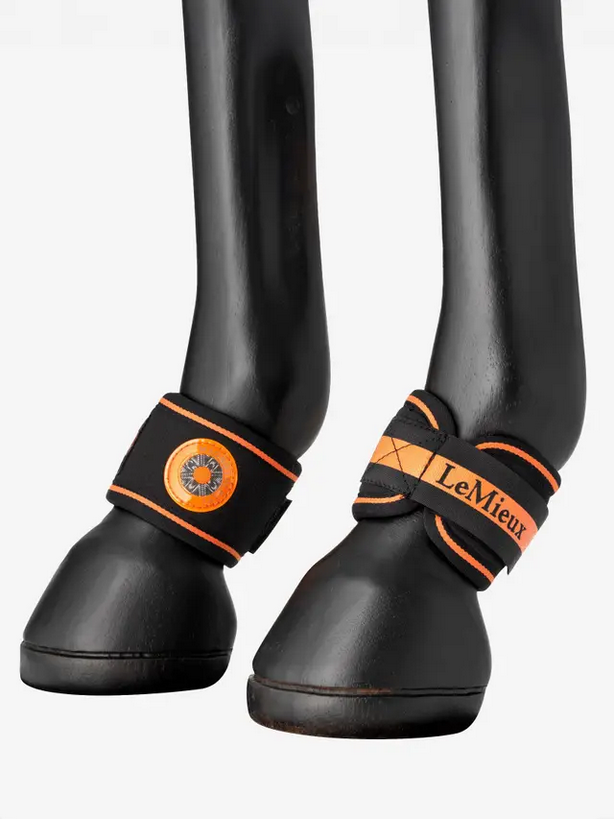 Le Mieux Magno Pastern Wrap