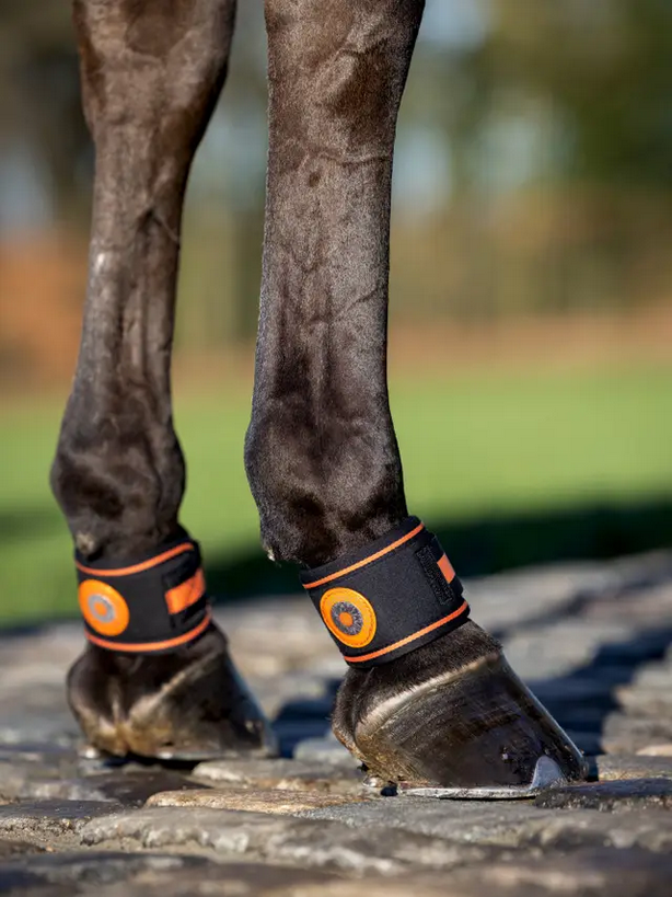 Le Mieux Magno Pastern Wrap
