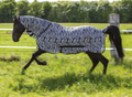 Ekkia Zebra Sheet