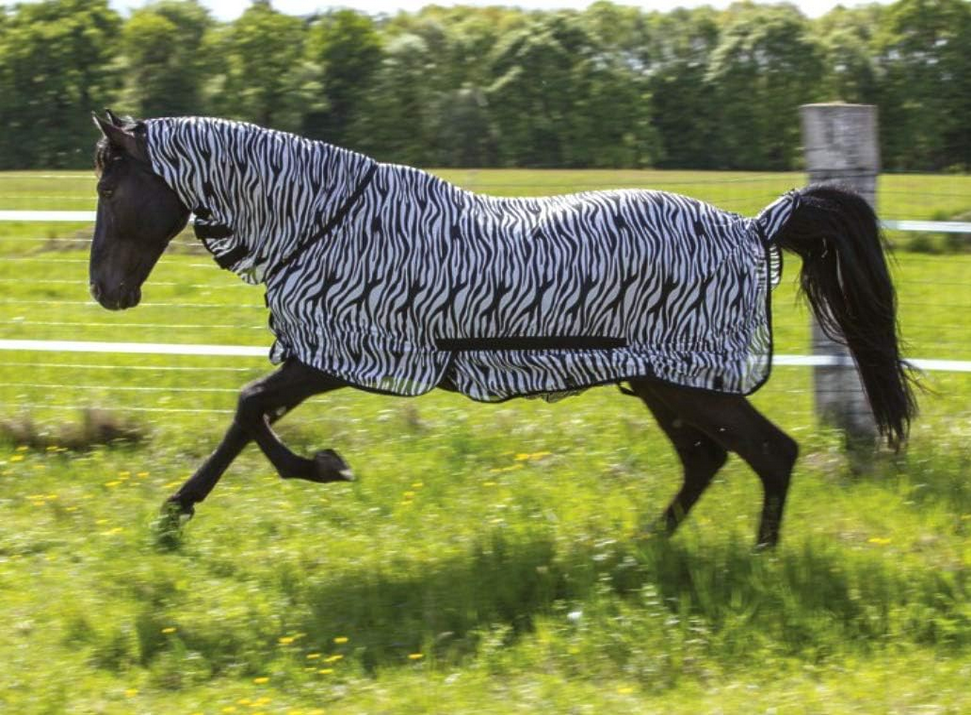 Ekkia Zebra Sheet