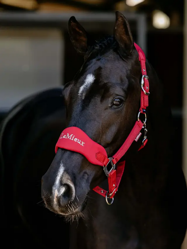 Lemieux Breakaway Vogue Headcollar