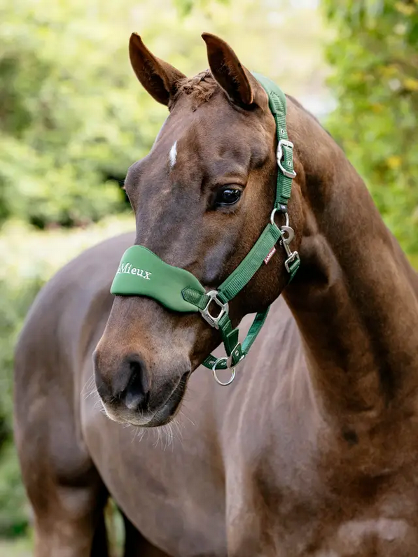 Lemieux Breakaway Vogue Headcollar Mini
