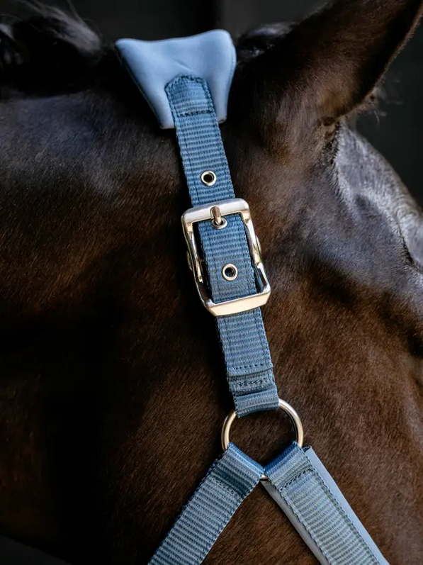 Lemieux Breakaway Vogue Headcollar Mini