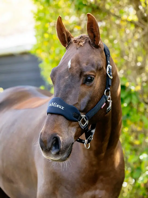 Lemieux Breakaway Vogue Headcollar Mini