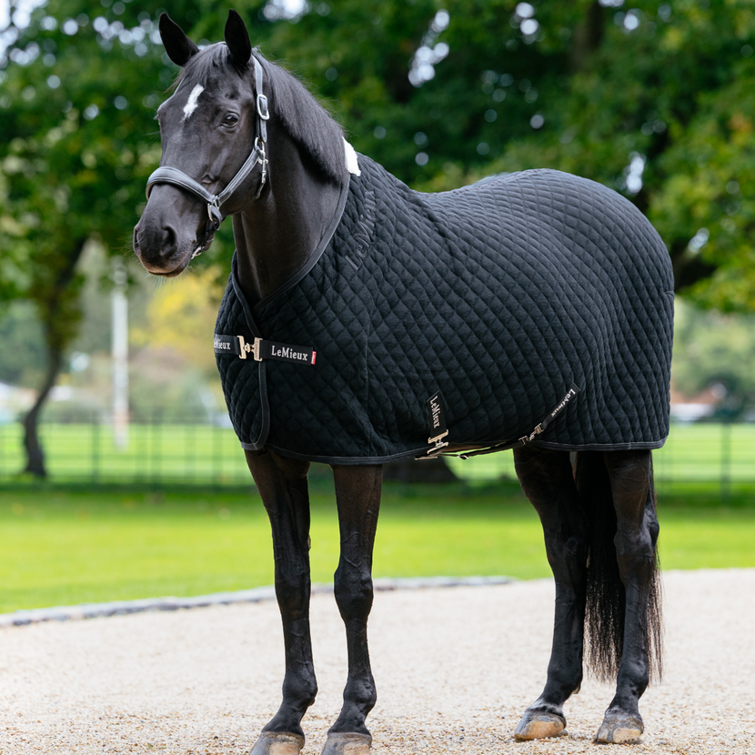Lemieux Arika Clima-Tek Rug