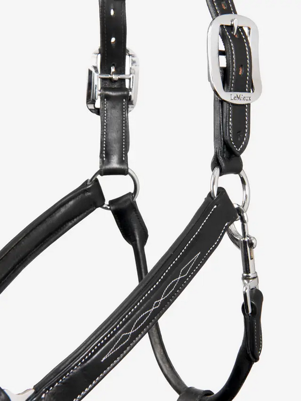 Le Mieux Stitched Leather Headcollar
