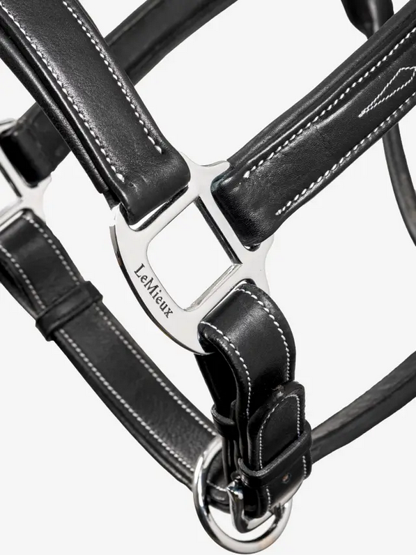 Le Mieux Stitched Leather Headcollar