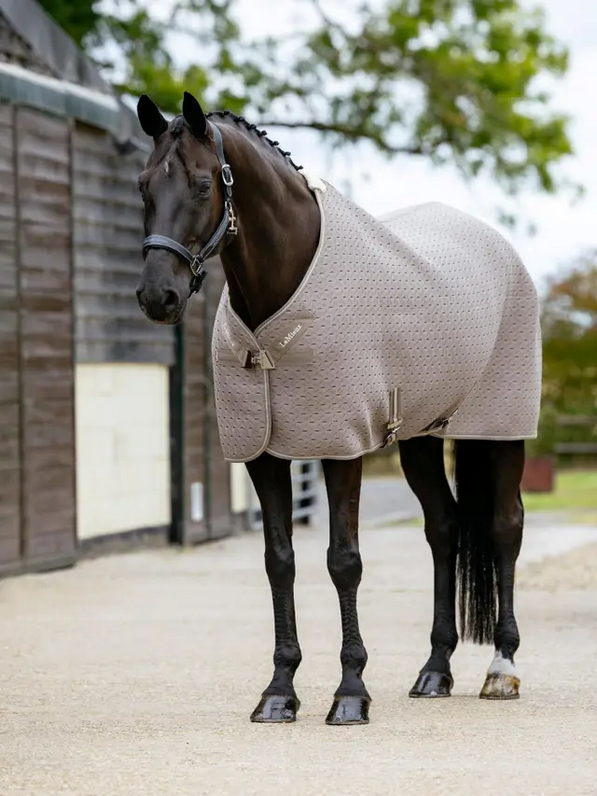 Lemieux Kudos 3D Travel Rug