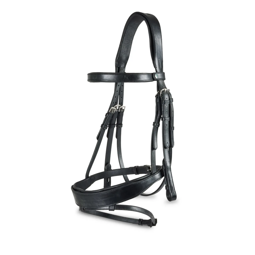 Ecorider Seamfree Show Bridle