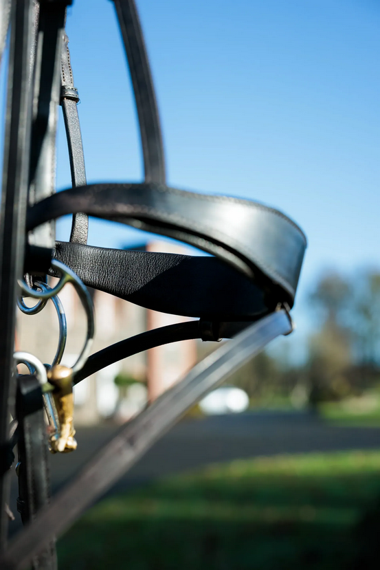 Ecorider Seamfree Show Bridle