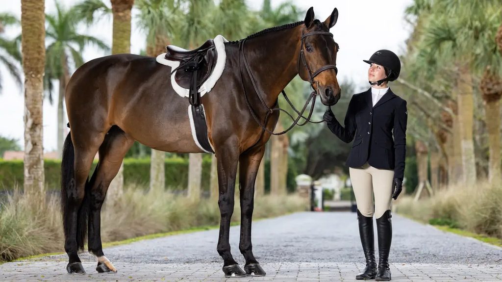 LeMieux Merino+ Prosorb Hunter Saddle Pad