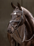 Le Mieux Arika Grackle Bridle