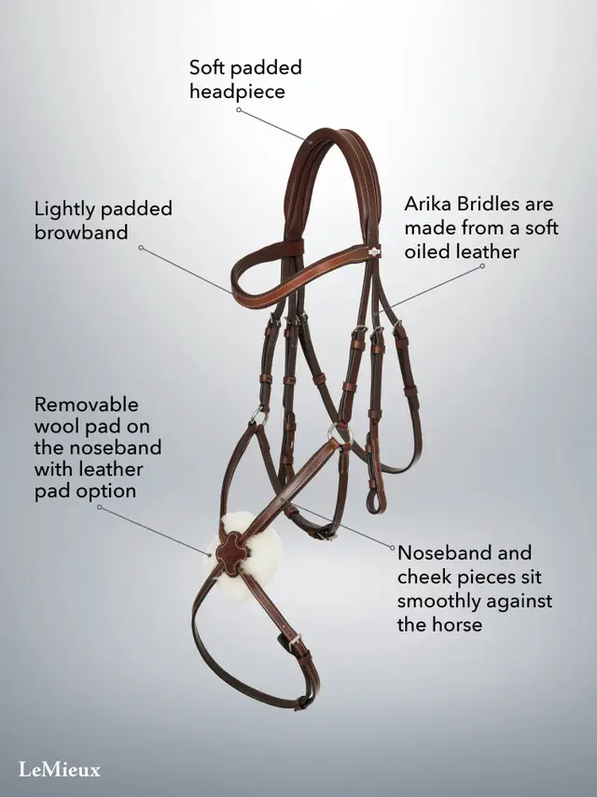 Le Mieux Arika Grackle Bridle