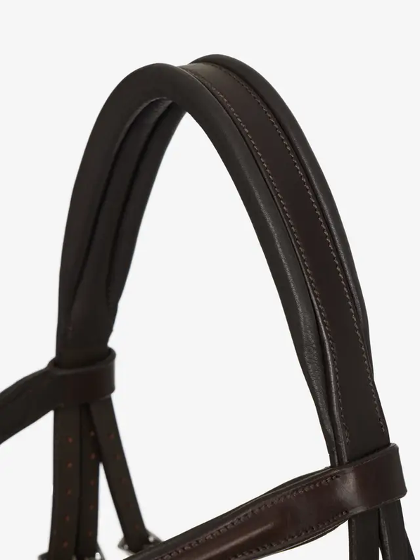 Le Mieux Arika Flash Bridle