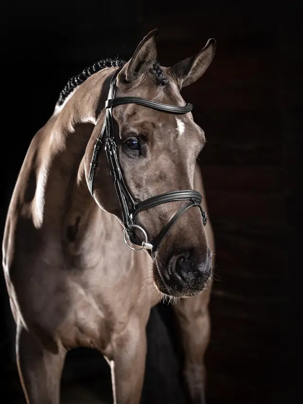 Le Mieux Arika Flash Bridle