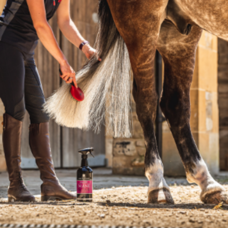 Carr & Day & Martin Canter Mane & Tail Conditioner 500 ml (Spray)