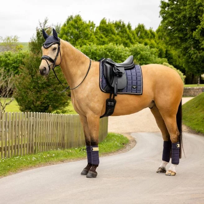 Lemieux Loire Classic Dressage Square