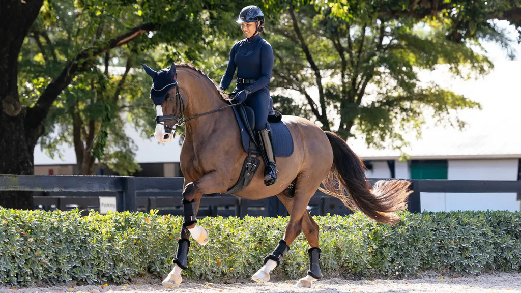 Lemieux Essence Dressage Square