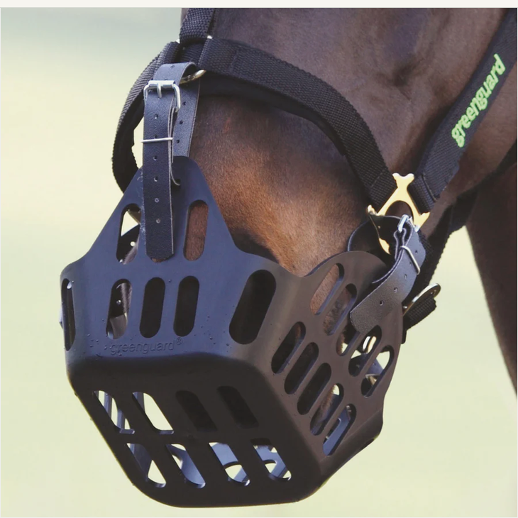 Greenguard Horse Muzzle