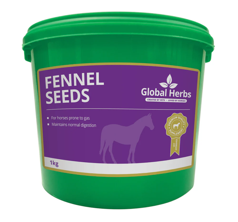 Global Herbs Fennel Seeds 1 kg