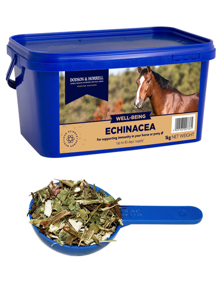 Dodson & Horrell Echinacea 1kg
