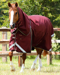 Premier Equine Buster Turnout With Classic Neck Cover 0 g