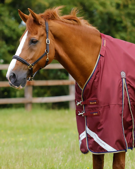 Premier Equine Buster Turnout With Classic Neck Cover 0 g