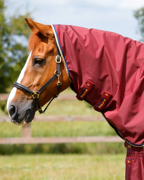 Premier Equine Buster Turnout With Classic Neck Cover 0 g