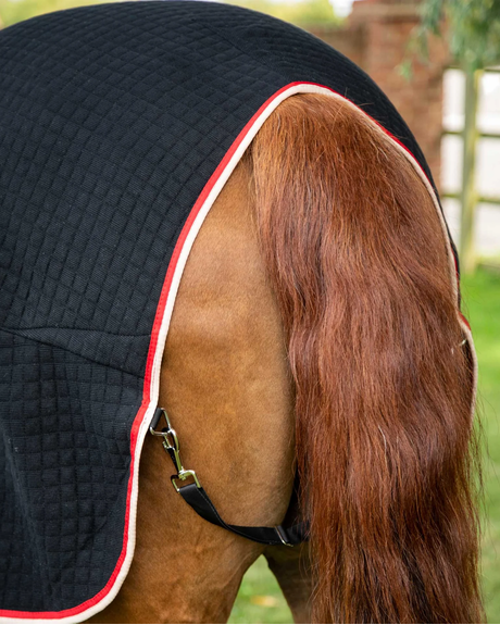 Premier Equine Premtex Cooler Black