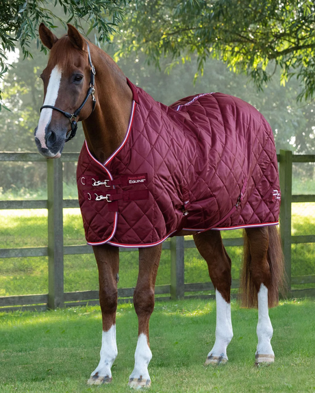 Premier Equine Tuscan Stable Rug 100 g