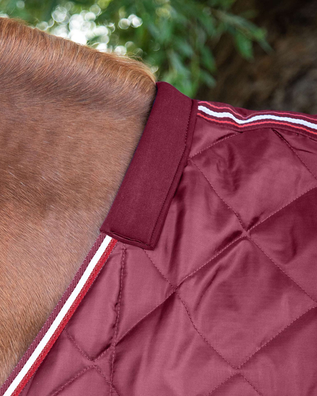 Premier Equine Tuscan Stable Rug 100 g