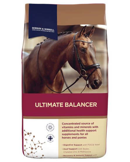 Dodson & Horrell Ultimate Balancer 20kg