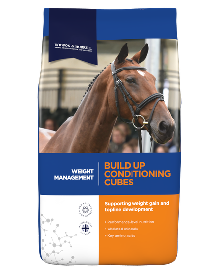 Dodson & Horrell Build Up Conditioning Cubes 20kg