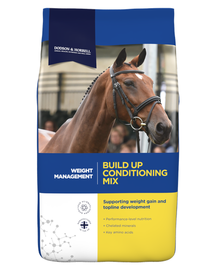 Dodson & Horrell Build Up Conditioning Mix 20kg