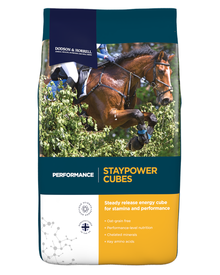 Dodson & Horrell Staypower Cubes 20kg