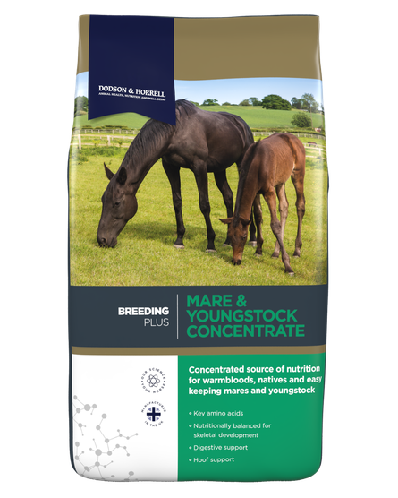 Dodson & Horrell Mare & Youngstock Concentrate 20kg