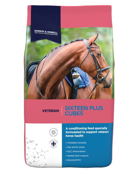 Dodson & Horrell Sixteen Plus Cubes 20kg