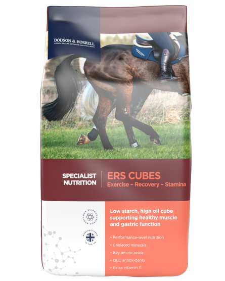 Dodson & Horrell ERs Cubes 20kg