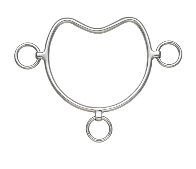 Chifney Anti-Rearing Bit