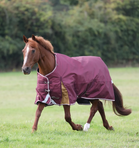 Shires Highlander Plus Turnout Rug 100g