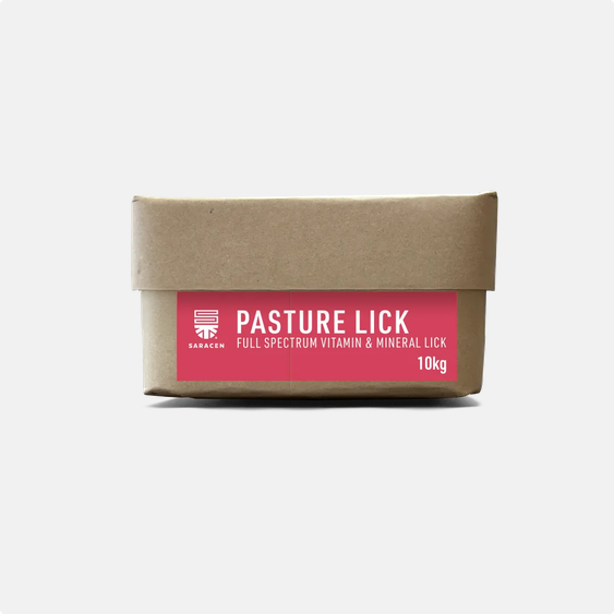 Saracen Pasture Lick 20kgs