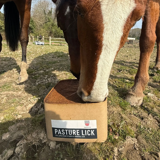 Saracen Pasture Lick 20kgs