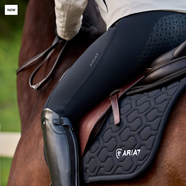 Ariat Troika Waterproof Full Seat Breeches Black