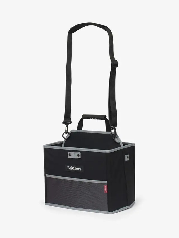 Lemieux Collapsible Storage Tote