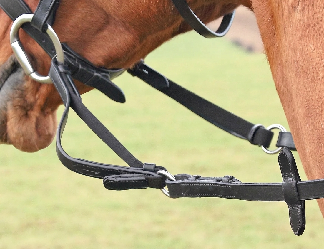Shires Flexi Rein