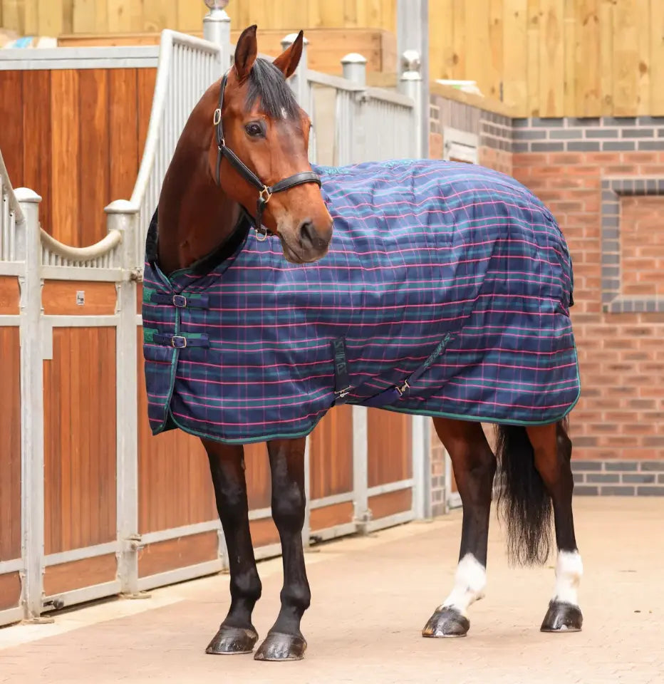 Tempest Plus Stable Combo Rug 100 g
