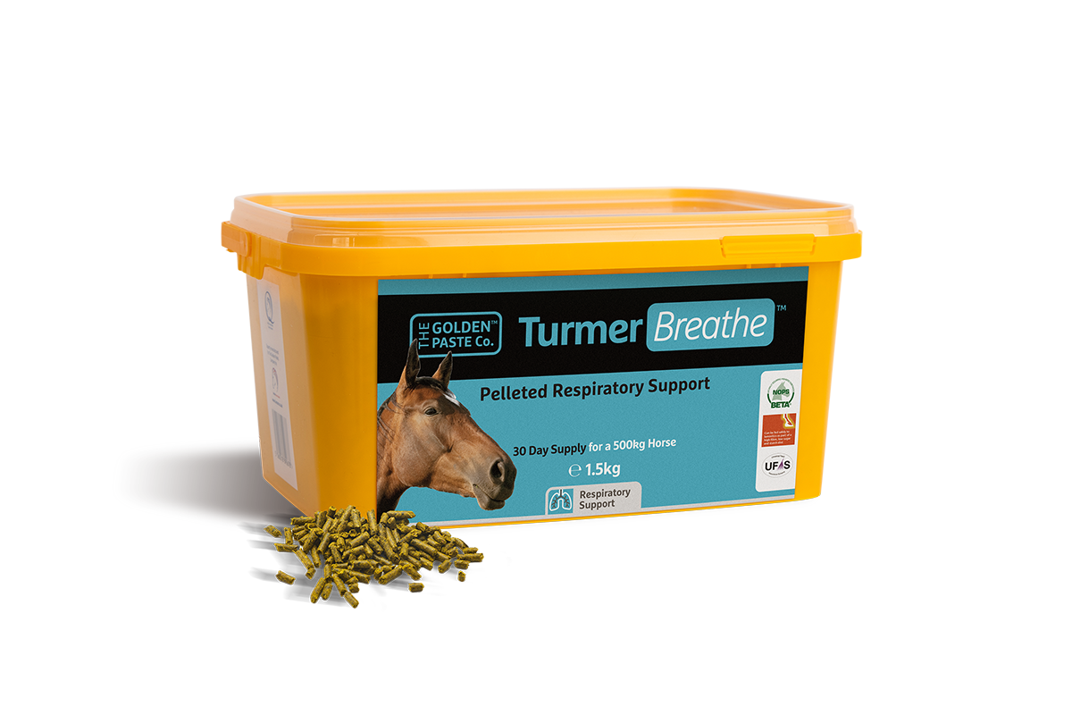 Turmerbreathe 1.5 kg